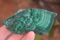 Polished Flower Banded Malachite Slices  x 24 From Congo - Toprock Gemstones and Minerals 