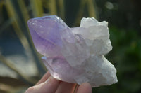 Natural Single Jacaranda Amethyst Crystals  x 12 From Mumbwe, Zambia - Toprock Gemstones and Minerals 