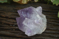 Natural Jacaranda Amethyst Clusters  x 6 From Mumbwa, Zambia - Toprock Gemstones and Minerals 