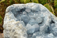 Natural Extra Large Celestite Geode With Large Cubic Crystals  x 1 From Sakoany, Madagascar - TopRock