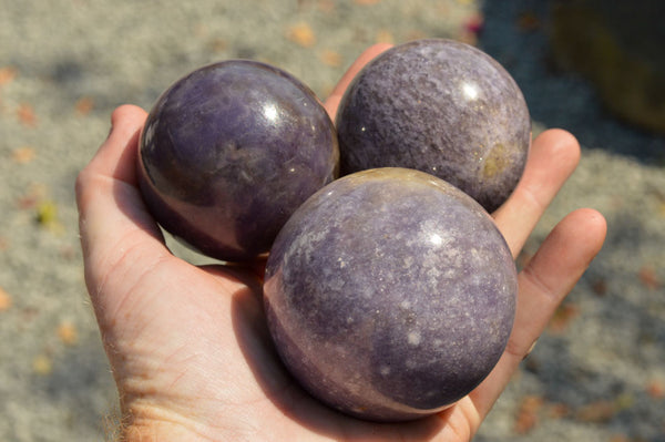 Polished Purple Lepidolite Mica Spheres  x 4 From Madagascar - TopRock