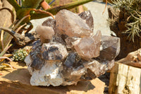 Natural XXL Self Healed Smokey Quartz Cluster  x 1 From Mt. Mulanje, Malawi - TopRock