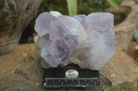 Natural Jacaranda Amethyst Clusters x 2 From Mumbwa, Zambia - TopRock