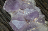 Natural Jacaranda Amethyst Cluster x 1 From Mumbwa, Zambia - TopRock