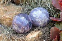 Polished Purple Lepidolite Mica Spheres  x 6 From Madagascar - TopRock