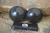 Polished Black Basalt Palm Stones  x 12 From Madagascar