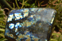 Polished Labradorite Standing Free Form With A Full Face Flash x 1 From Tulear, Madagascar - TopRock