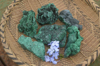 Natural Botryoidal Fibrous Malachite Specimens  x 6 From Kasompe, Congo - TopRock