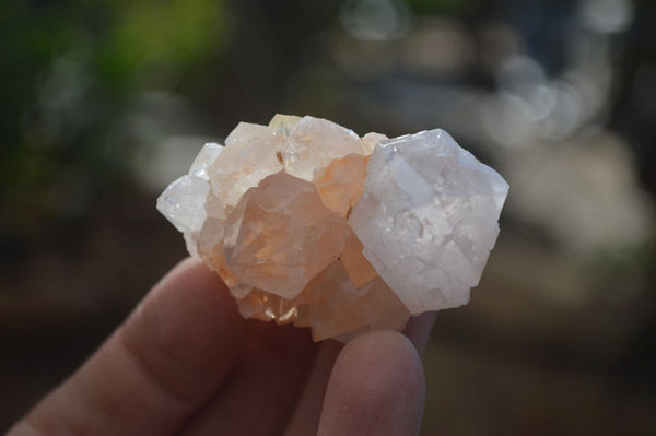 Natural White Spirit Quartz Crystals x 24 From Boekenhouthoek, South Africa