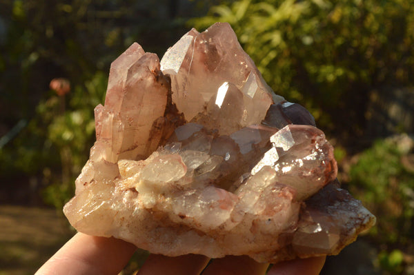 Natural Dusky Red Hematoid Quartz Clusters  x 4 From Karoi, Zimbabwe - TopRock