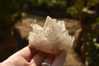 Natural Small Quartz Clusters With Long Intact Crystals  x 24 From Mandrosonoro, Madagascar - TopRock