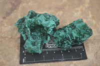 Natural Chatoyant Silky Malachite Specimens  x 12 From Kasompe, Congo - TopRock