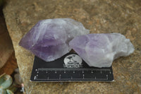 Natural Single Jacaranda Amethyst Crystals  x 12 From Zambia - Toprock Gemstones and Minerals 