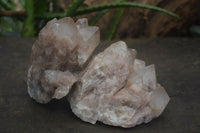 Natural White Phantom Smokey Quartz Clusters  x 3 From Luena, Congo - Toprock Gemstones and Minerals 