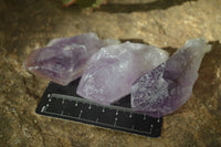 Natural Single Jacaranda Amethyst Crystals x 12 From Mumbwe, Zambia