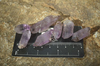 Natural Small Amethyst Crystals  x 70 From Chiredzi, Zimbabwe