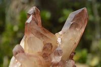 Natural Red Hematoid Phantom Quartz Crystals/Clusters x 12 From Zimbabwe - TopRock