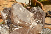 Natural XXL Self Healed Smokey Quartz Cluster  x 1 From Mt. Mulanje, Malawi - TopRock