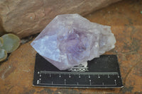 Natural Single Jacaranda Amethyst Crystals  x 12 From Mumbwe, Zambia - Toprock Gemstones and Minerals 