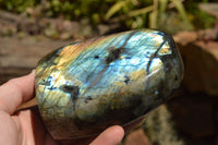 Polished Labradorite Standing Free Forms With Intense Blue & Gold Flash x 2 From Sakoany, Madagascar - TopRock