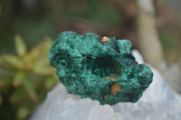 Natural Chatoyant Silky Malachite Specimens  x 12 From Kasompe, Congo - TopRock