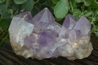 Natural Jacaranda Amethyst Cluster x 1 From Mumbwa, Zambia - TopRock