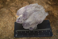 Natural Sugar Amethyst Clusters  x 12 From Solwezi, Zambia - Toprock Gemstones and Minerals 