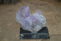 Natural Jacaranda Amethyst Clusters  x 6 From Mumbwa, Zambia - Toprock Gemstones and Minerals 