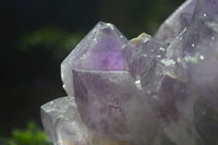 Natural Large Jacaranda Amethyst Cluster  x 1 From Mumbwa, Zambia - Toprock Gemstones and Minerals 