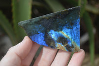 Polished One Side Polished Labradorite Pieces x 24 From Tulear, Madagascar