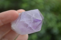 Natural Single Zambian Jacaranda Amethyst Points - Sold per 1.6 kg (24 points per tray) - From Mumbwa, Zambia - TopRock