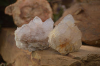 Natural Spirit Cactus Flower Quartz Clusters x 6 From Boekenhouthoek, South Africa