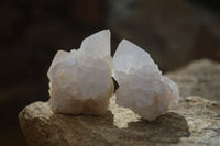 Natural White Spirit Quartz Crystals x 24 From Boekenhouthoek, South Africa