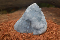 Natural Blue Celestite Crystal Specimens  x 2 From Sakoany, Madagascar - Toprock Gemstones and Minerals 