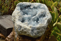 Natural Extra Large Celestite Geode With Large Cubic Crystals  x 1 From Sakoany, Madagascar - TopRock