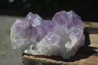 Natural Jacaranda Amethyst Clusters x 2 From Mumbwa, Zambia - TopRock