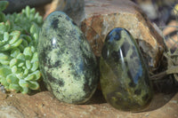 Polished Spotted Leopard Stone Free Forms  x 6 From Zimbabwe - Toprock Gemstones and Minerals 