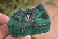 Polished Flower Banded Malachite Slices  x 24 From Congo - Toprock Gemstones and Minerals 