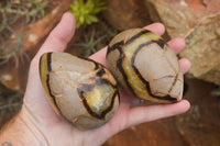 Polished Septaria Dragon's Eggs (Calcite & Aragonite) x 3 From Mahajanga, Madagascar - TopRock