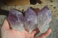 Natural Single Jacaranda Amethyst Crystals  x 12 From Mumbwe, Zambia - Toprock Gemstones and Minerals 