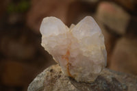 Natural Spirit Cactus Flower Quartz Clusters x 6 From Boekenhouthoek, South Africa