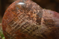 Polished Extra Large Petrified Podocarpus Wood Hearts  x 2 From Mahajanga, Madagascar - TopRock