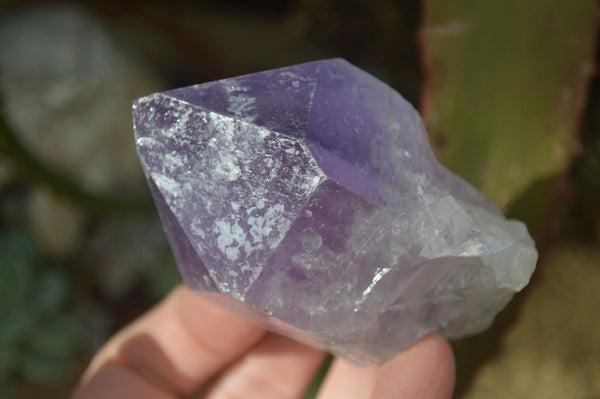 Natural Single Jacaranda Amethyst Crystals x 12 From Mumbwe, Zambia