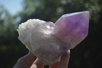 Natural Jacaranda Amethyst Clusters  x 3 From Mumbwa, Zambia - Toprock Gemstones and Minerals 