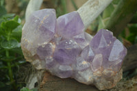 Natural Jacaranda Amethyst Cluster x 1 From Mumbwa, Zambia - TopRock