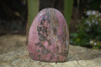 Polished Pink Rhodonite Standing Free Forms x 3 From Madagascar