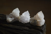 Natural White Spirit Quartz Crystals x 24 From Boekenhouthoek, South Africa