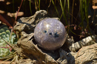 Polished Purple Lepidolite Mica Spheres  x 6 From Madagascar - TopRock