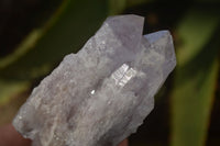 Natural Sugar Amethyst Clusters  x 12 From Solwezi, Zambia - Toprock Gemstones and Minerals 