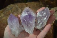 Natural Single Jacaranda Amethyst Crystals  x 12 From Zambia - Toprock Gemstones and Minerals 